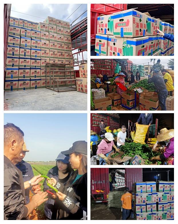 优发国际·随优而动一触即发