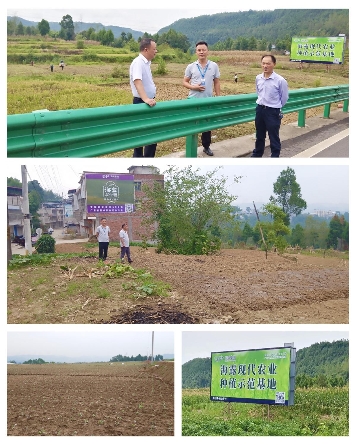 优发国际·随优而动一触即发