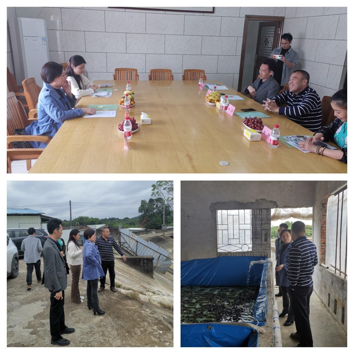 优发国际·随优而动一触即发