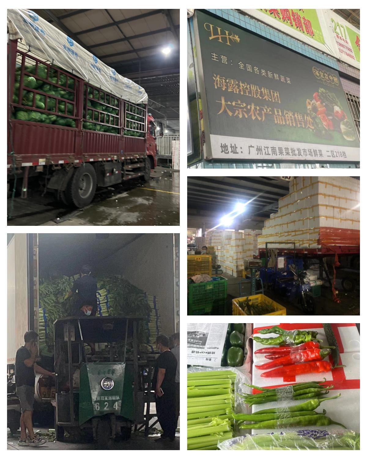 优发国际·随优而动一触即发