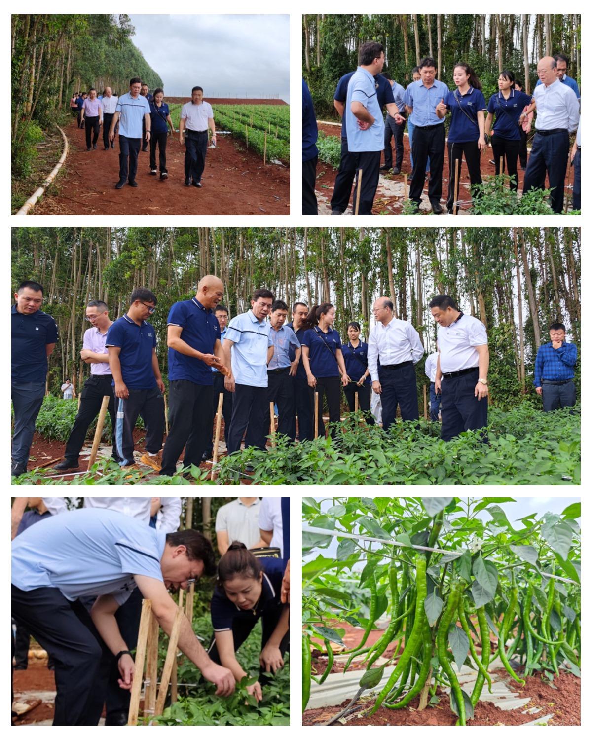 优发国际·随优而动一触即发