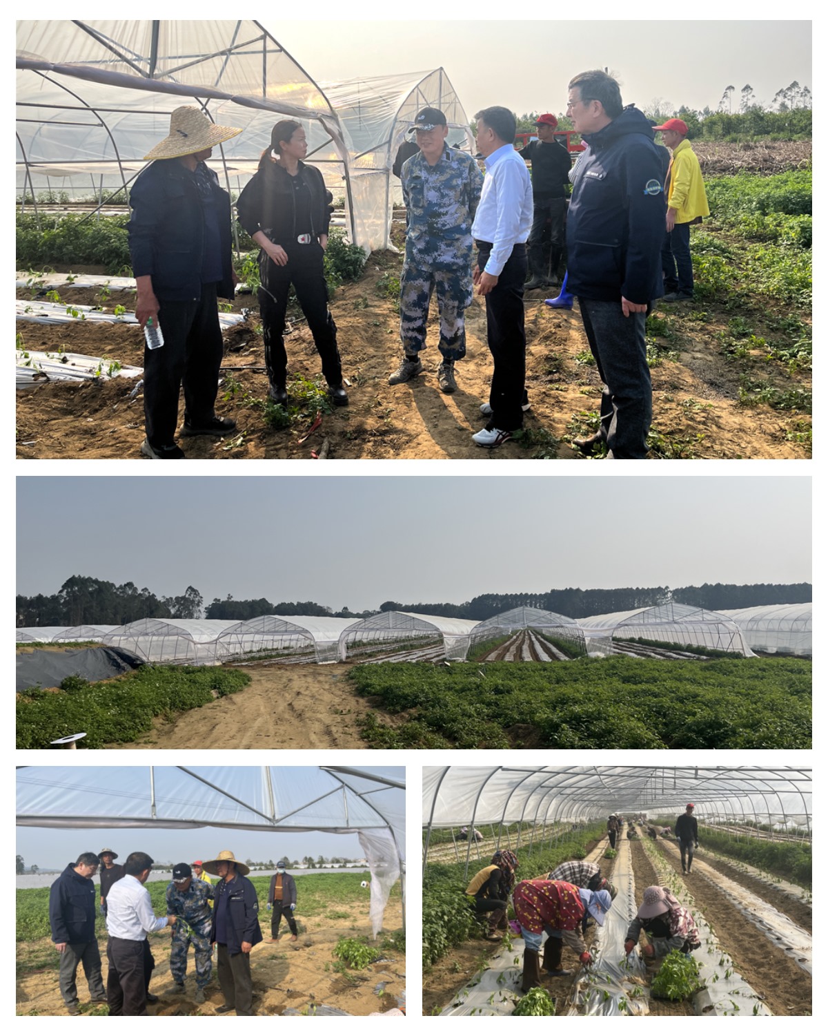 优发国际·随优而动一触即发