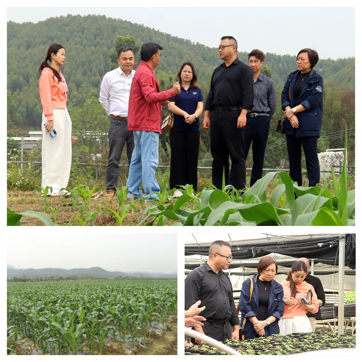 优发国际·随优而动一触即发