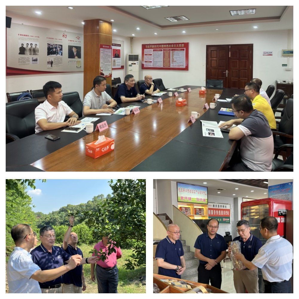 优发国际·随优而动一触即发