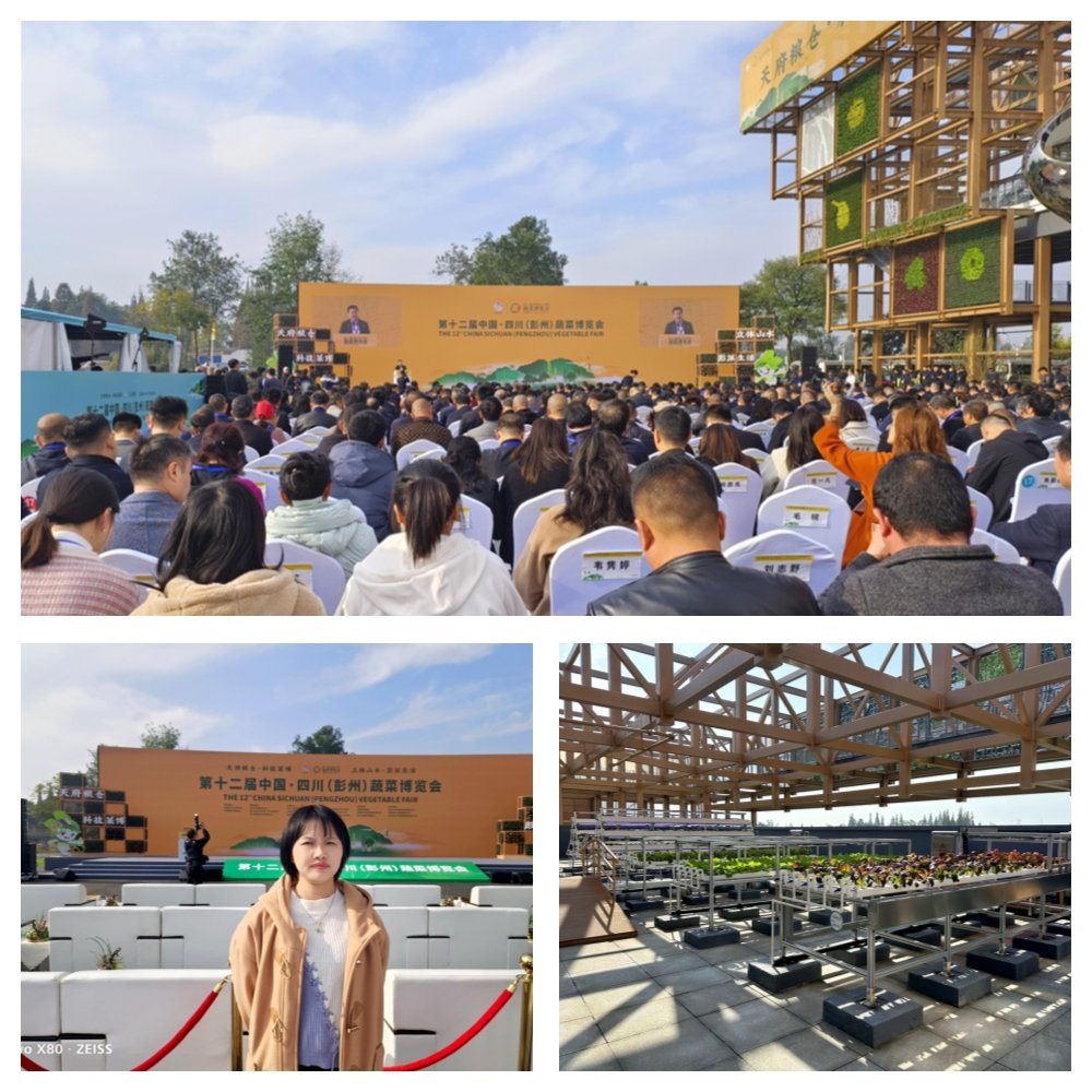 优发国际·随优而动一触即发