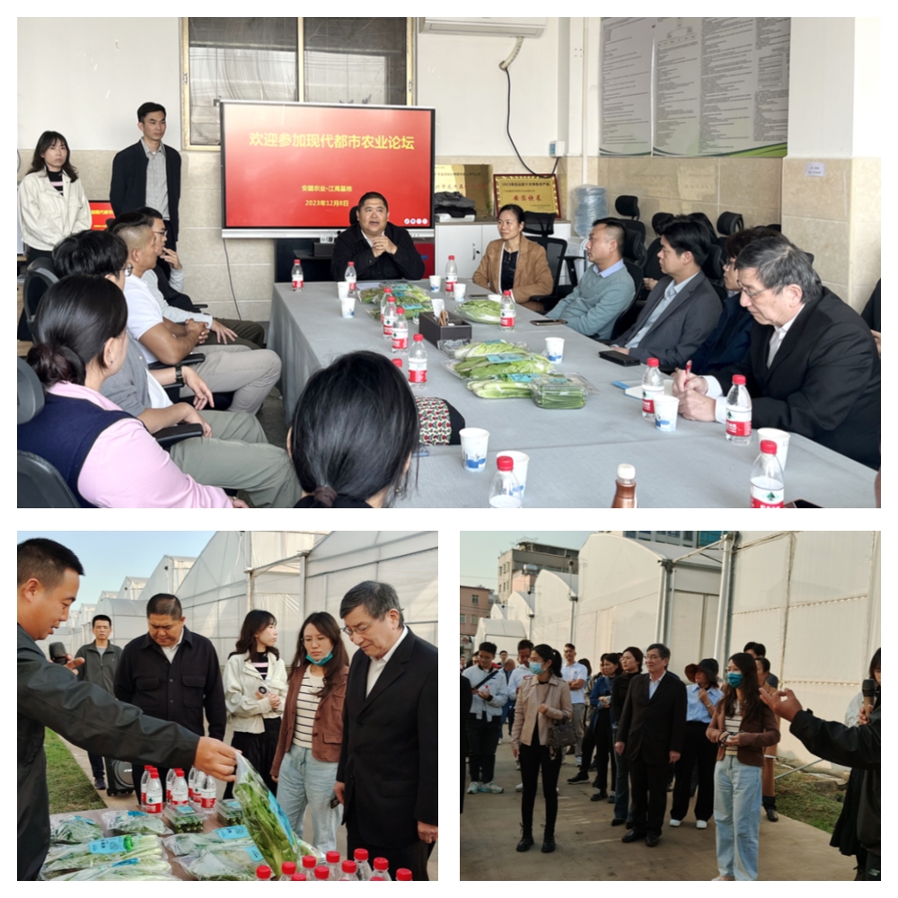 优发国际·随优而动一触即发