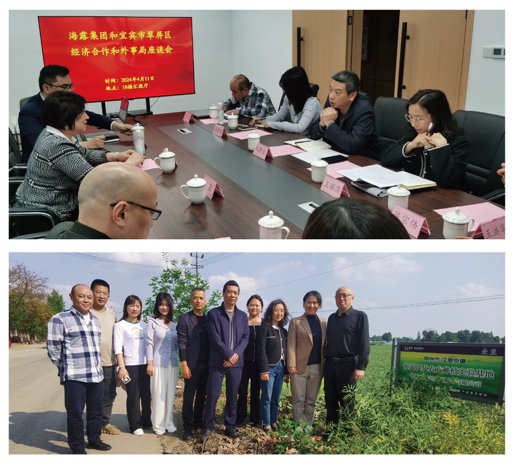 优发国际·随优而动一触即发