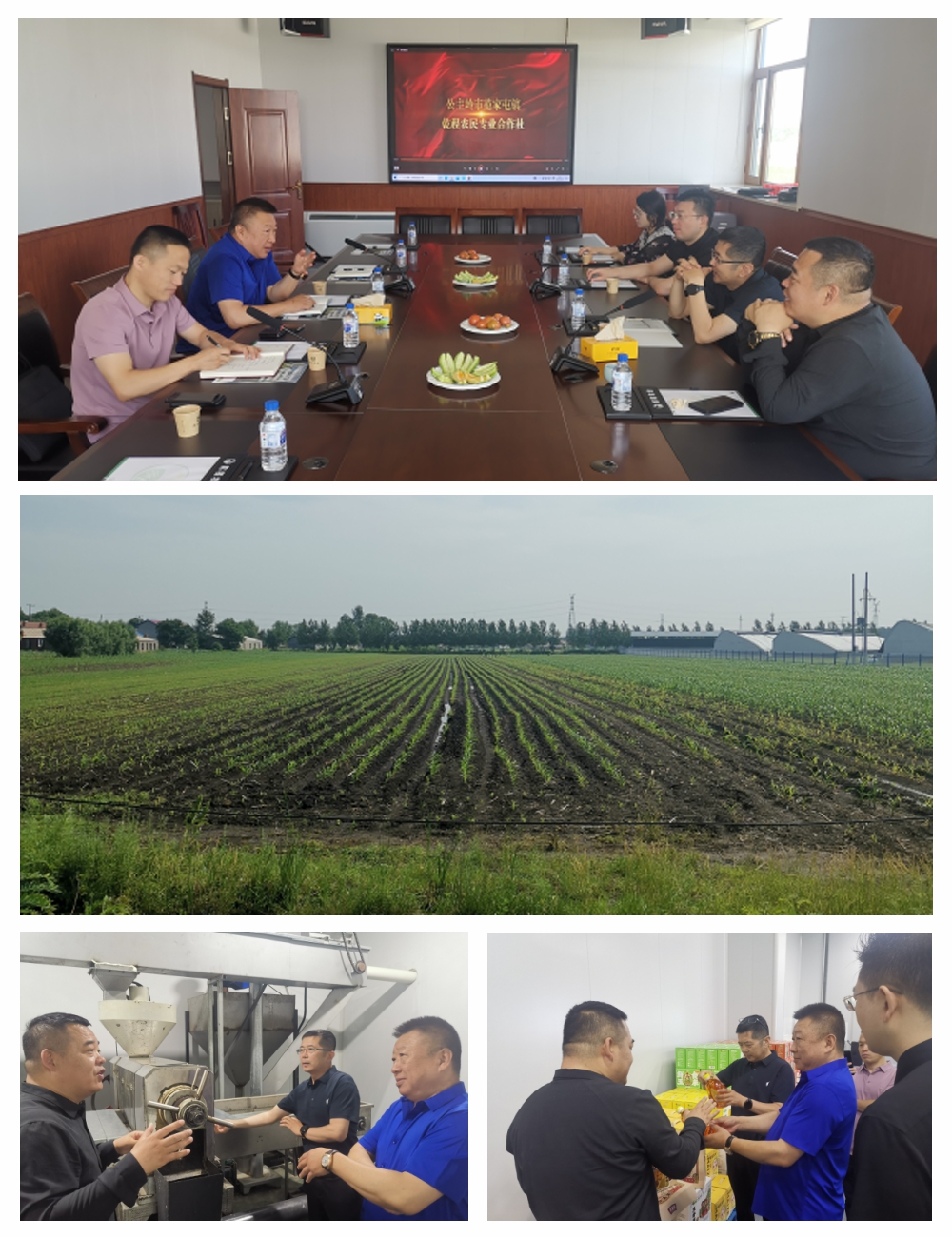 优发国际·随优而动一触即发