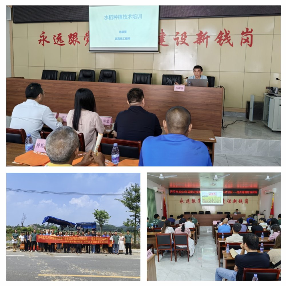 优发国际·随优而动一触即发