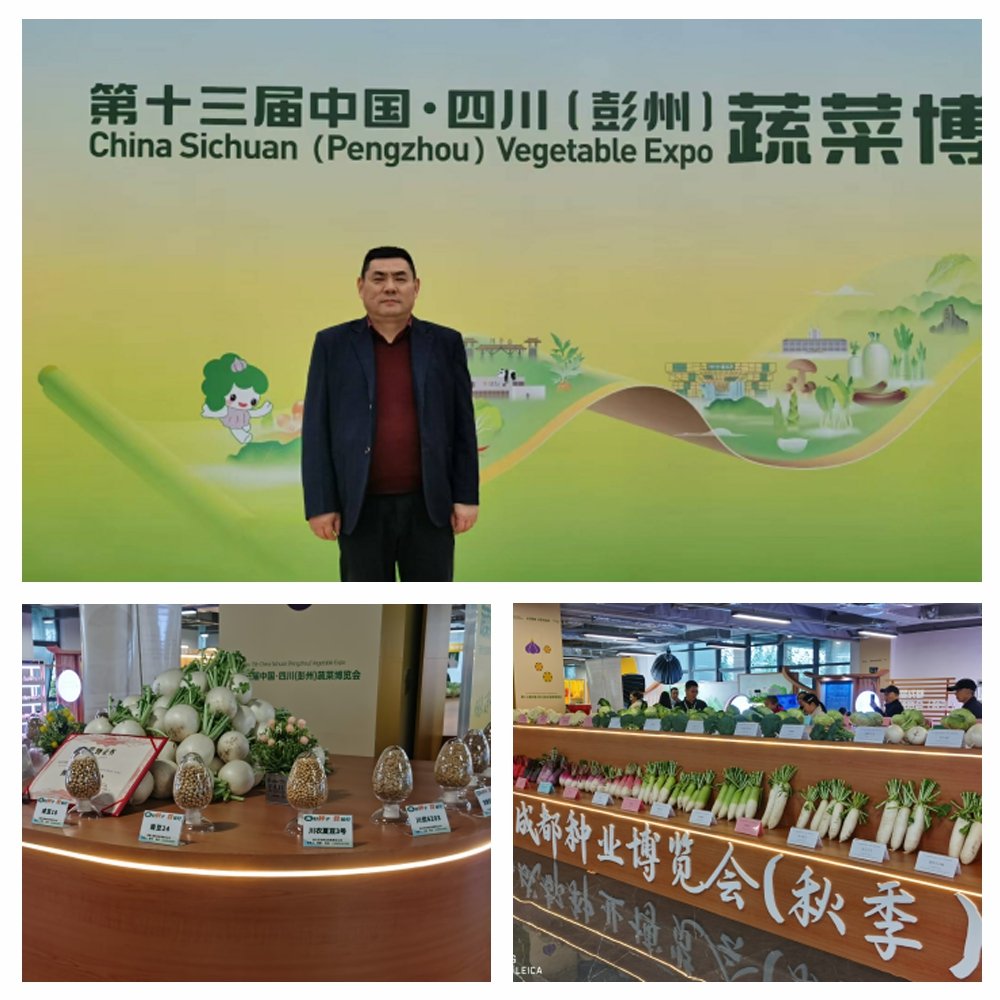 优发国际·随优而动一触即发