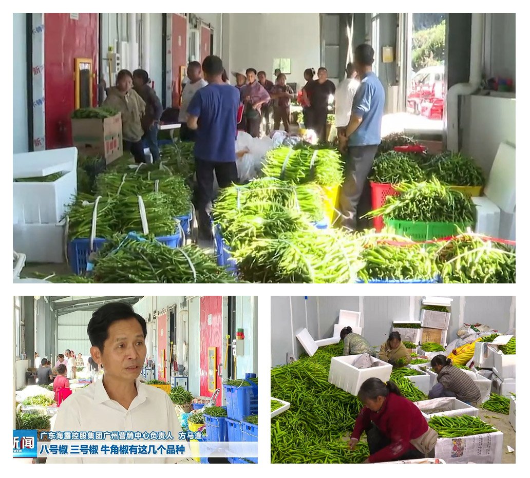 优发国际·随优而动一触即发