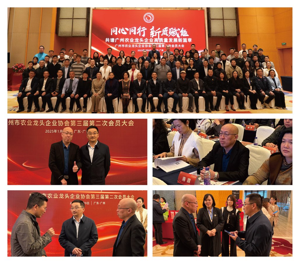 优发国际·随优而动一触即发