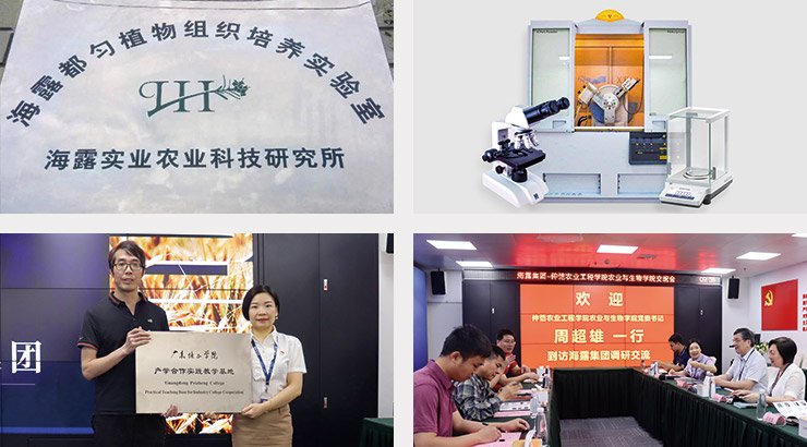 优发国际·随优而动一触即发