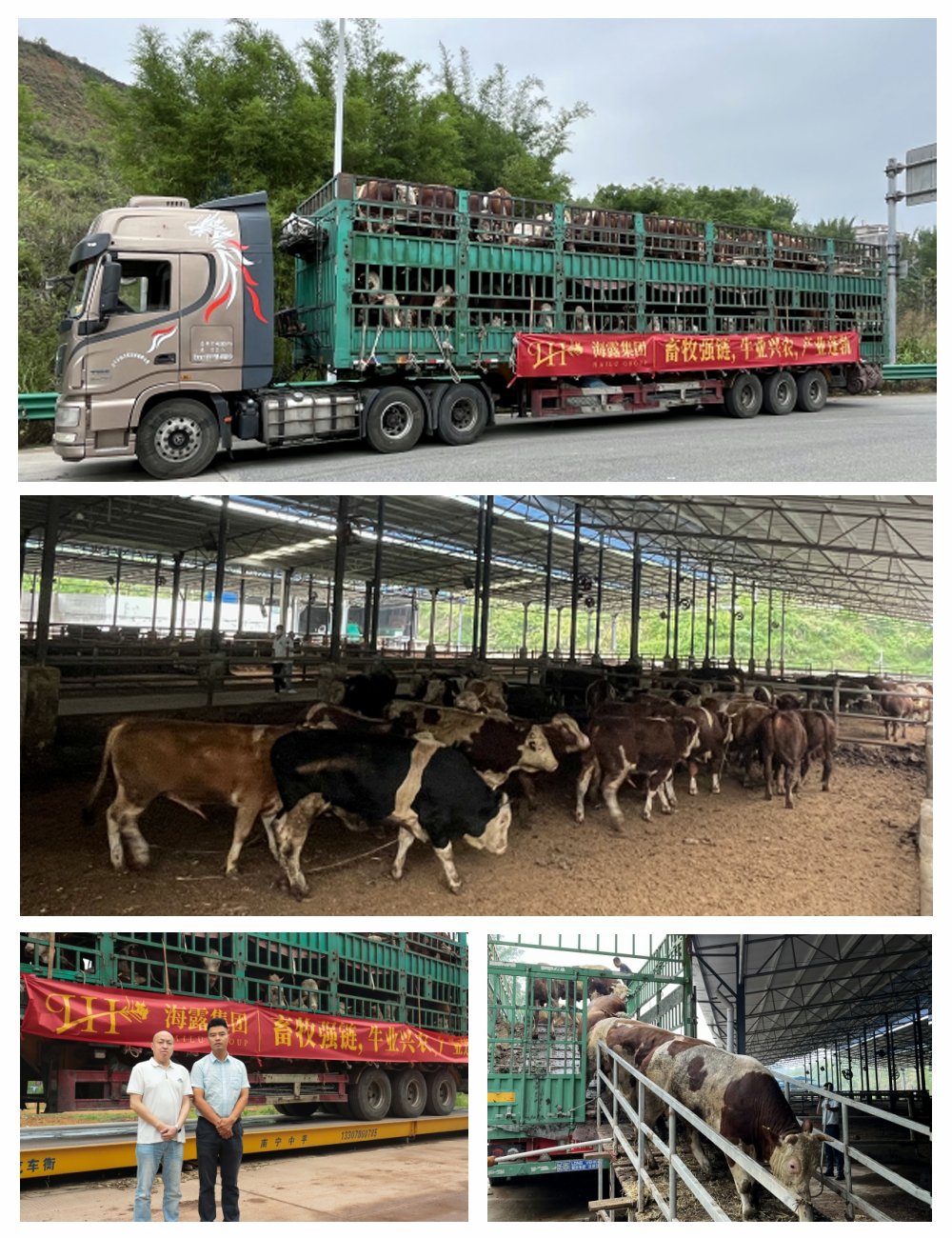 优发国际·随优而动一触即发