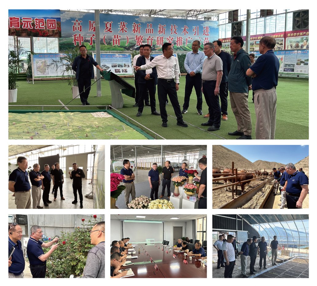 优发国际·随优而动一触即发