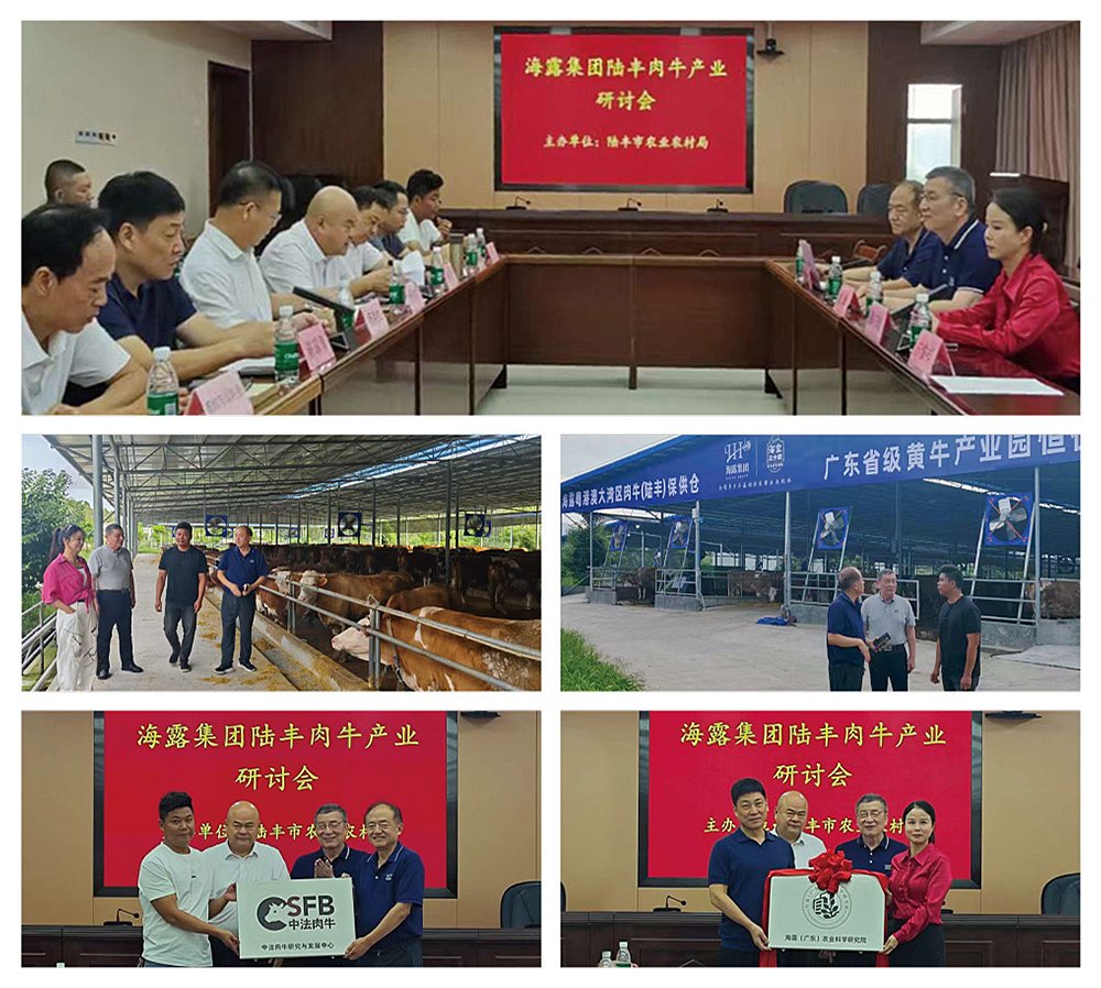 优发国际·随优而动一触即发