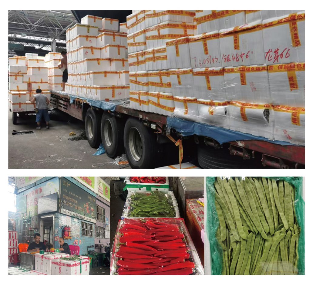 优发国际·随优而动一触即发