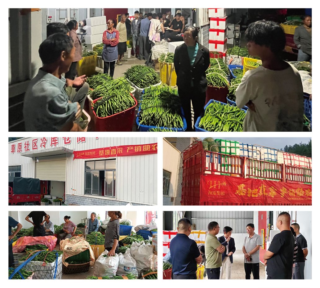 优发国际·随优而动一触即发