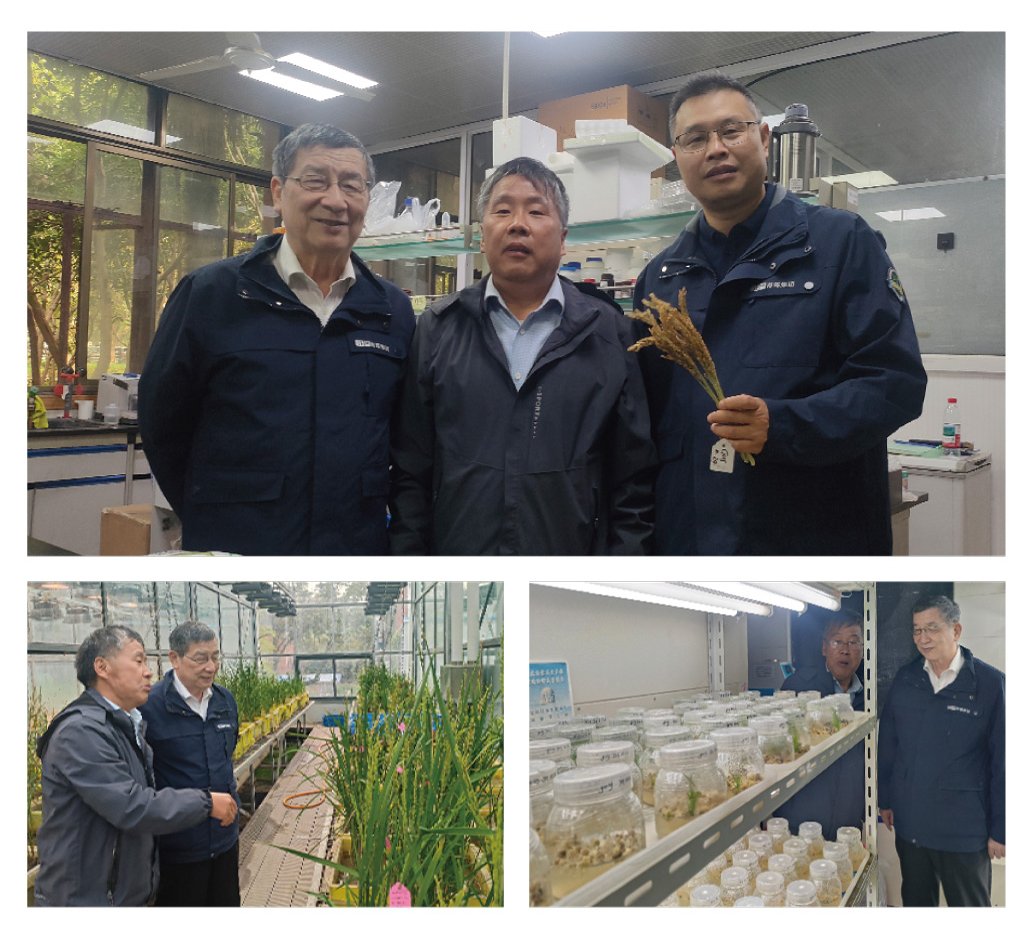 优发国际·随优而动一触即发