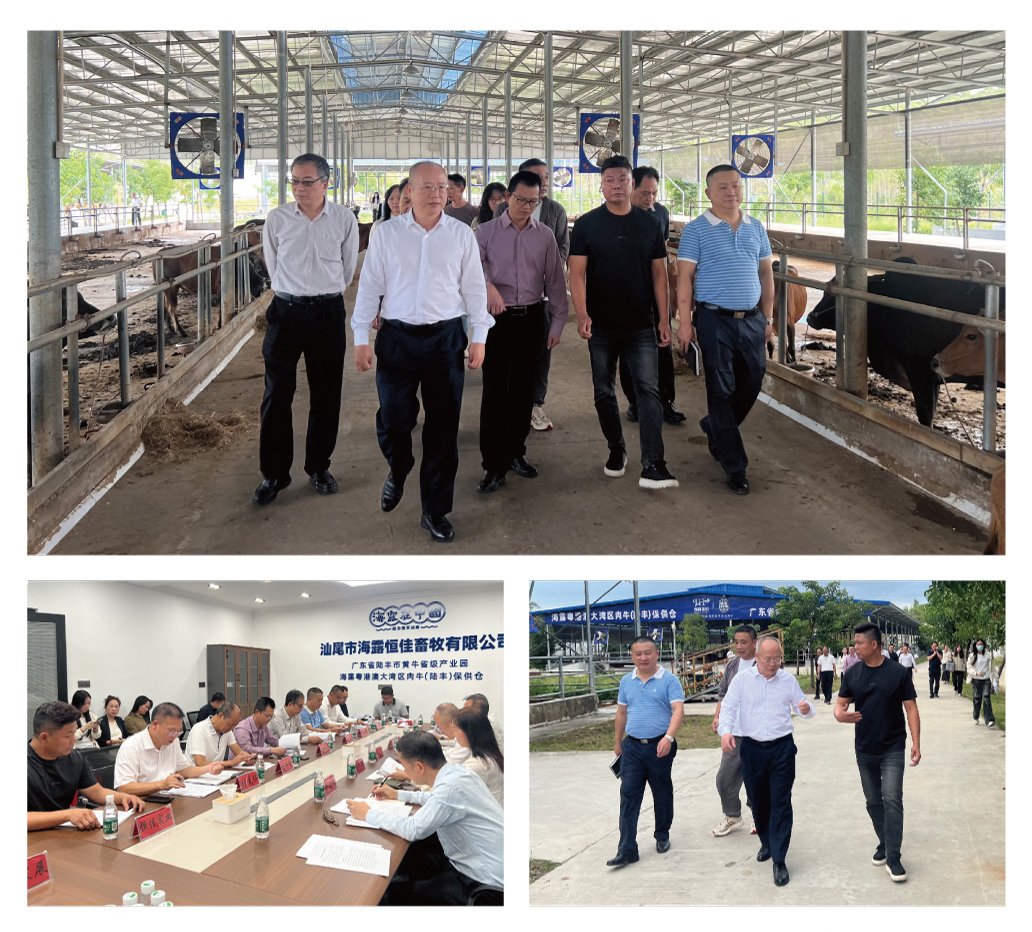 优发国际·随优而动一触即发