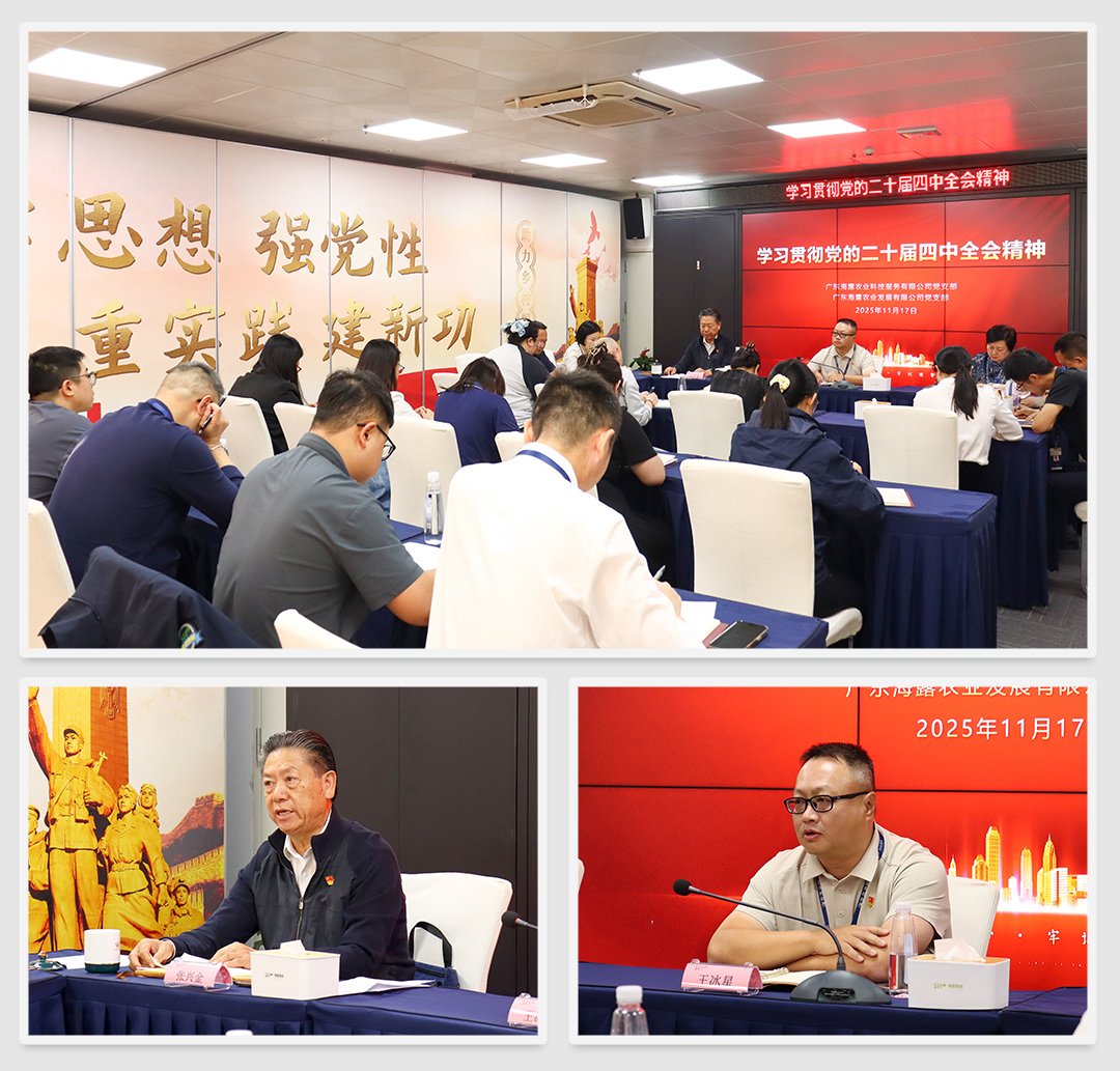 优发国际·随优而动一触即发