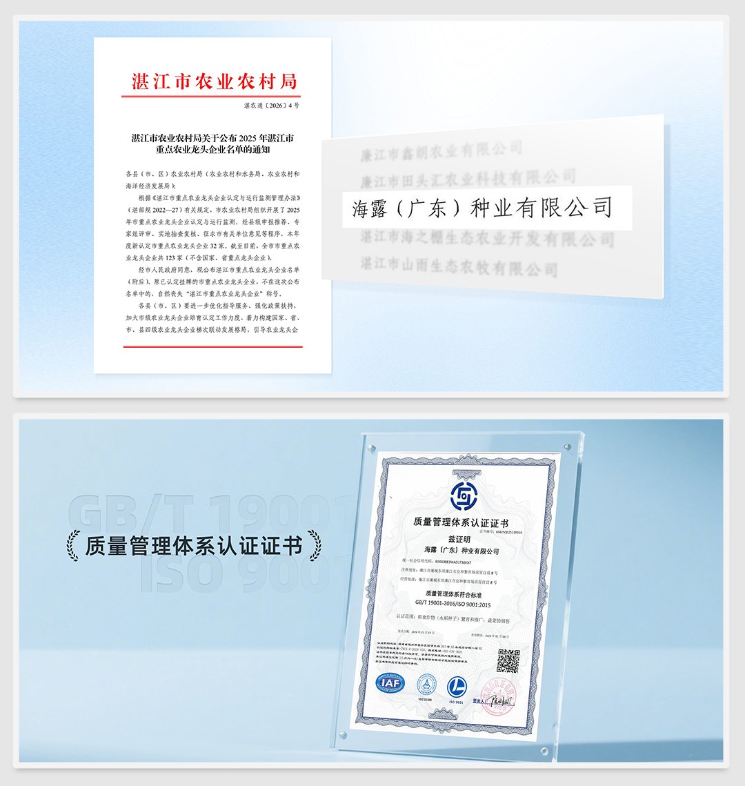 优发国际·随优而动一触即发